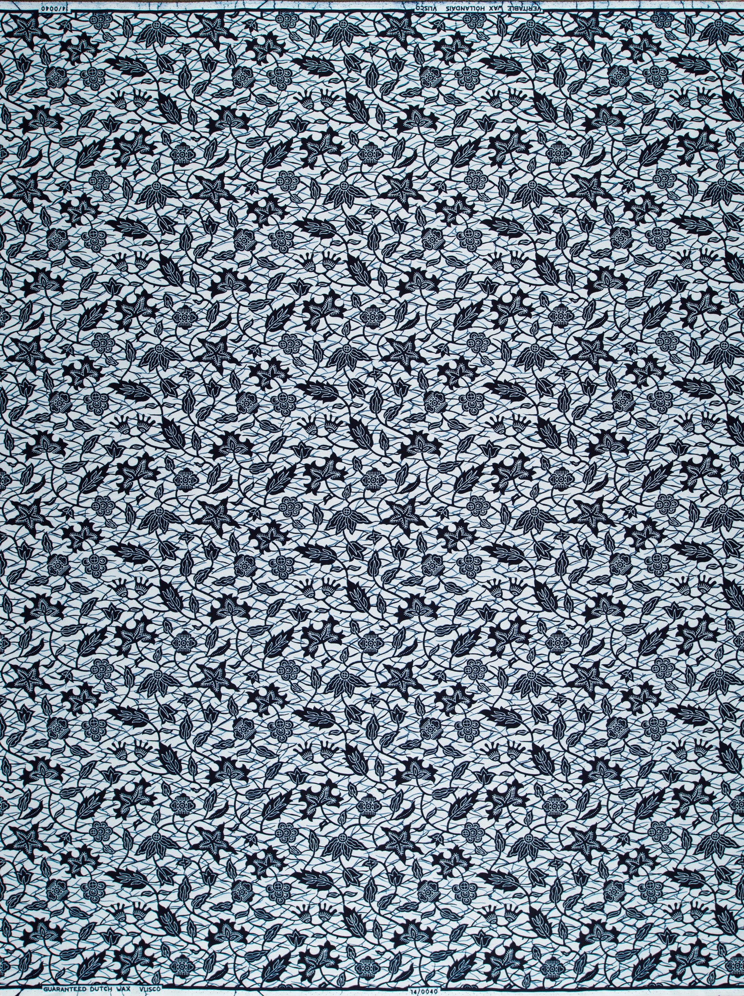 Wax Poplin | VL00040.171 | Adémè - Image 4