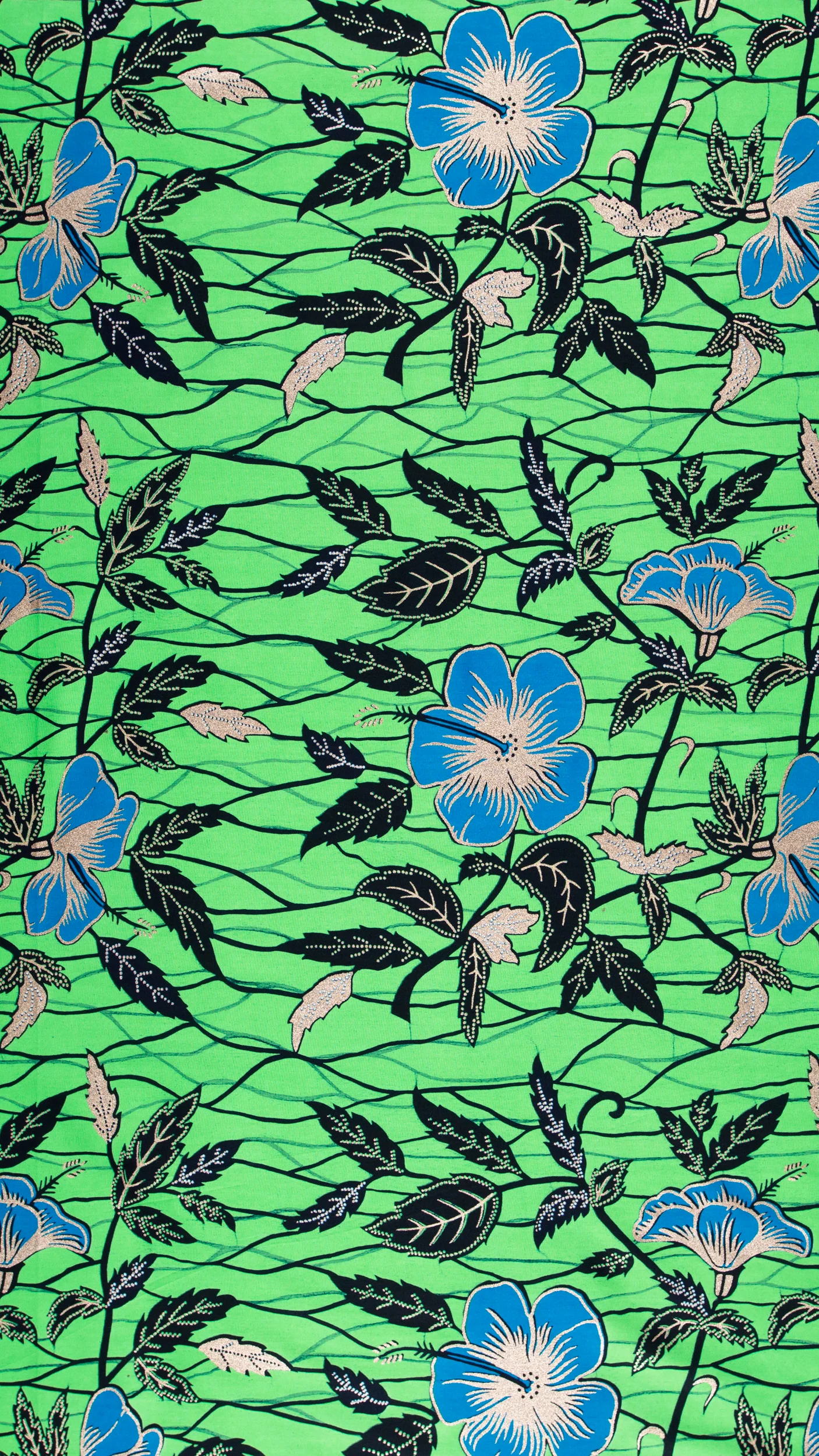 Wax Hollandais | VL00921.281 | Rose Gold Embellished - Image 3
