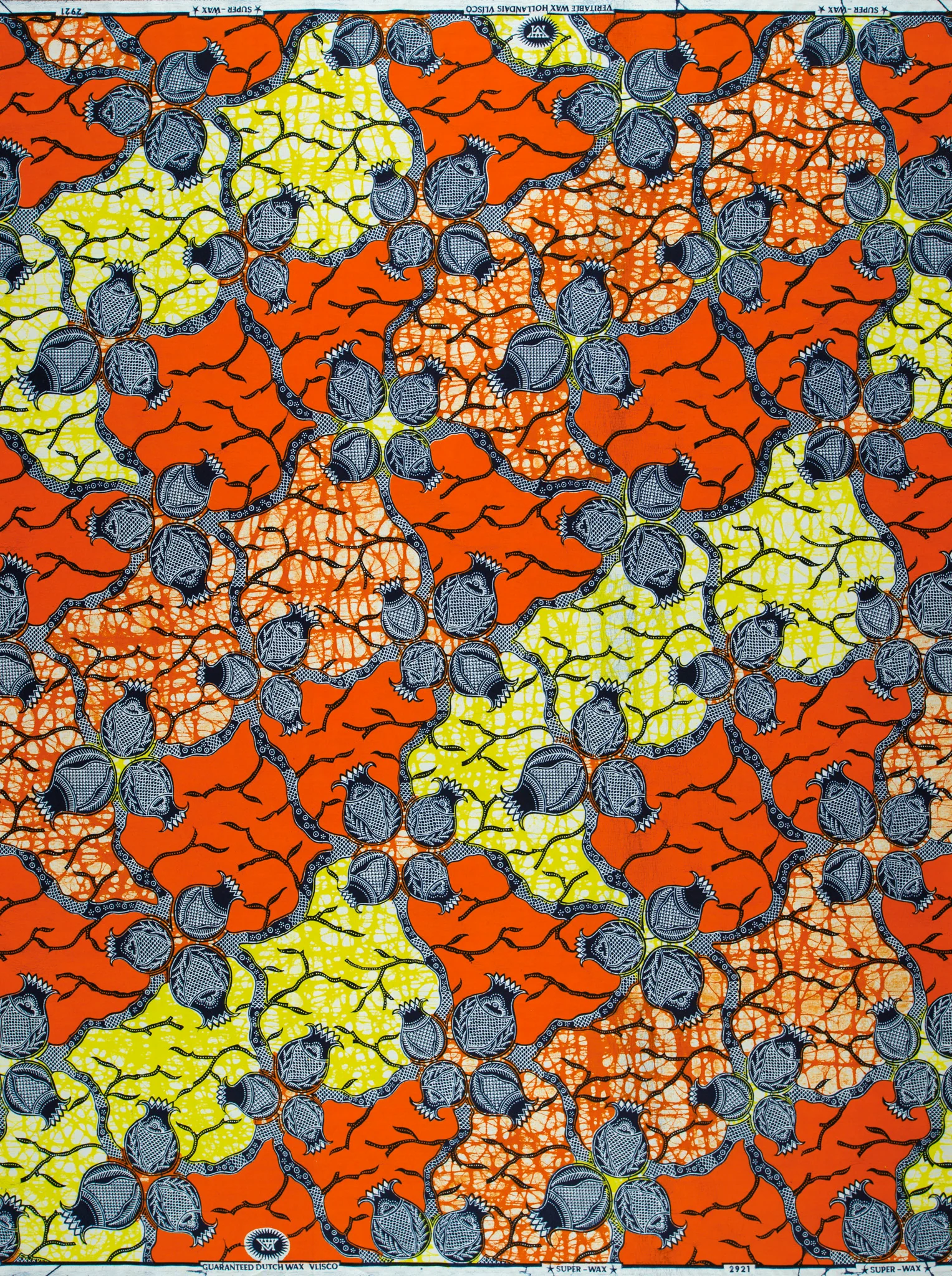 Super-Wax | VL02921.271 | Onion - Image 4