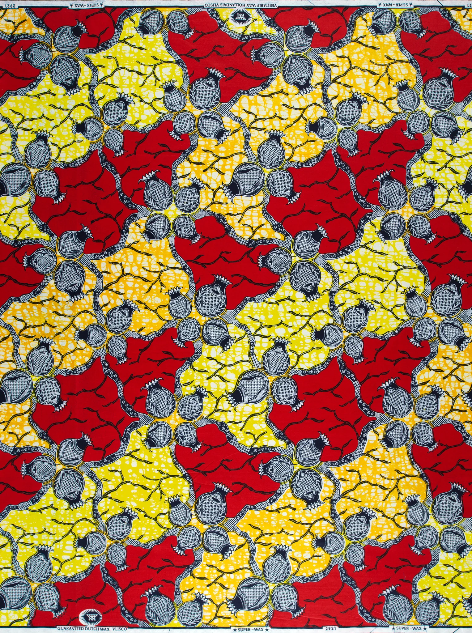 Super-Wax | VL02921.274 | Onion - Image 4