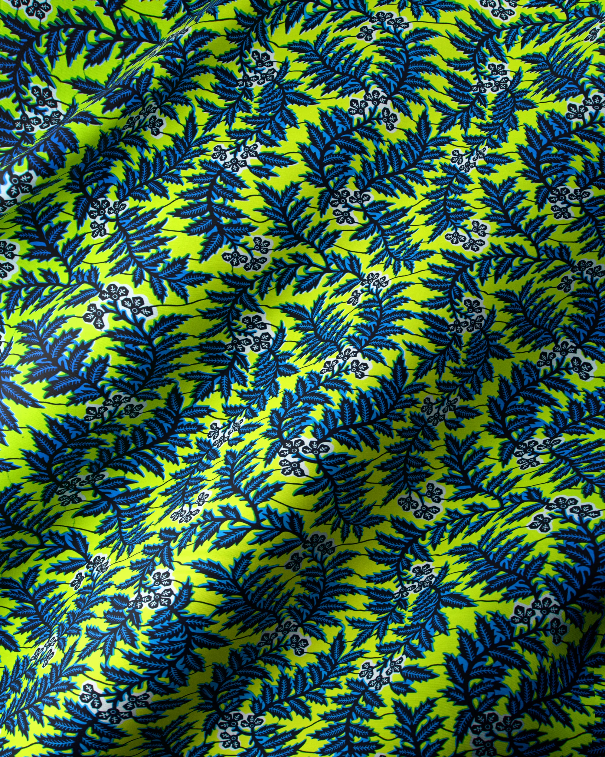 Wax Hollandais | VL0H877.009