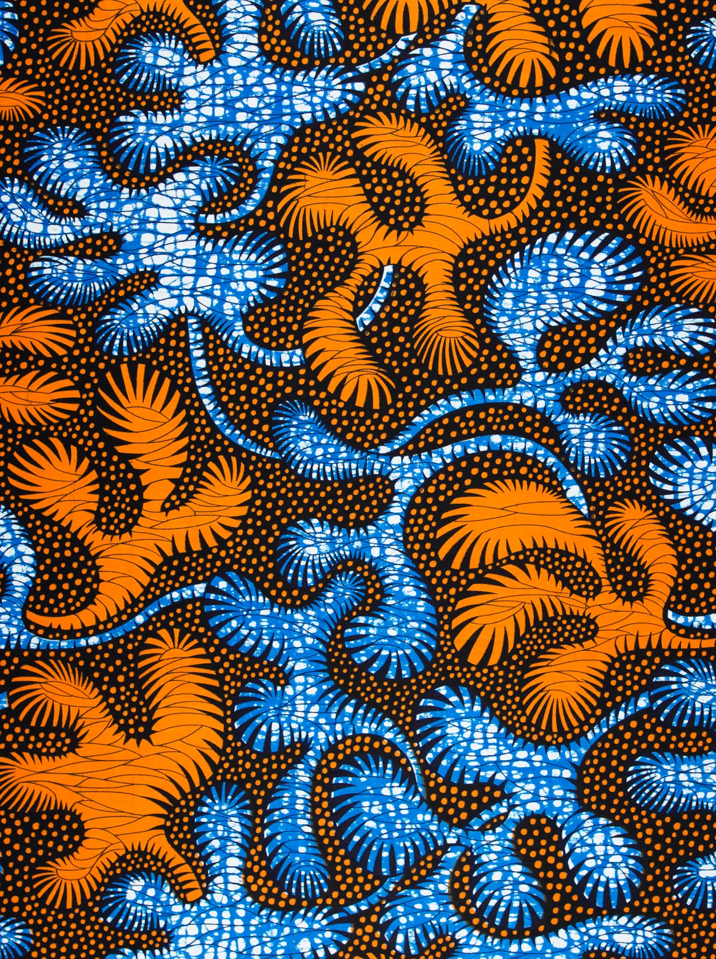 Wax Hollandais | VLA2070.046 - Image 3