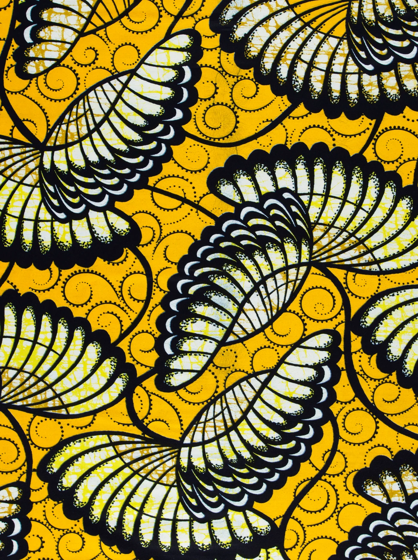 Super-Wax | VLS6289.004 - Image 3