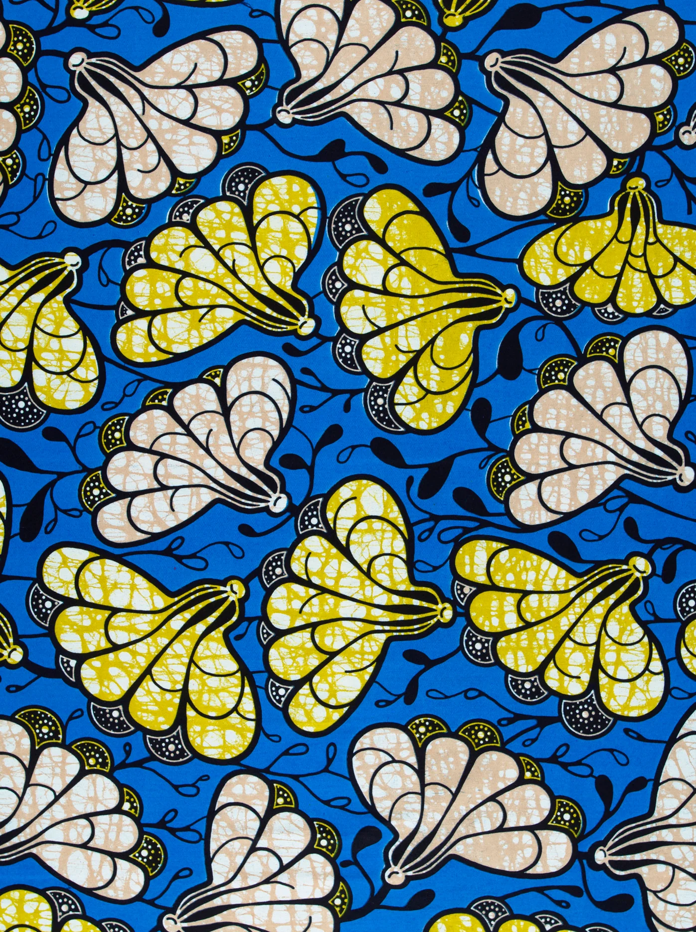 Super-Wax | VLS6672.014 - Image 3