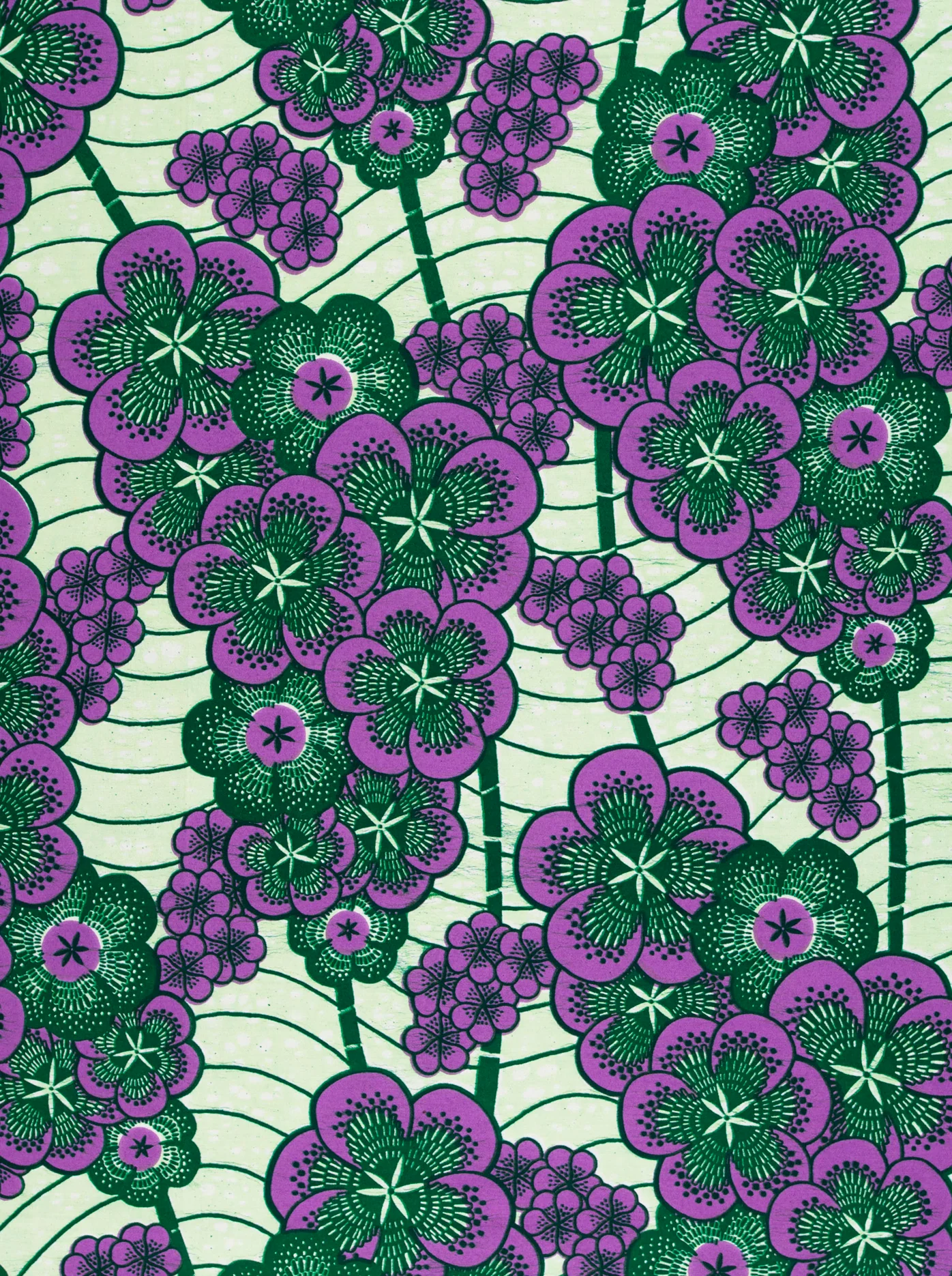 Wax Hollandais | VLW1293.007 - Image 3