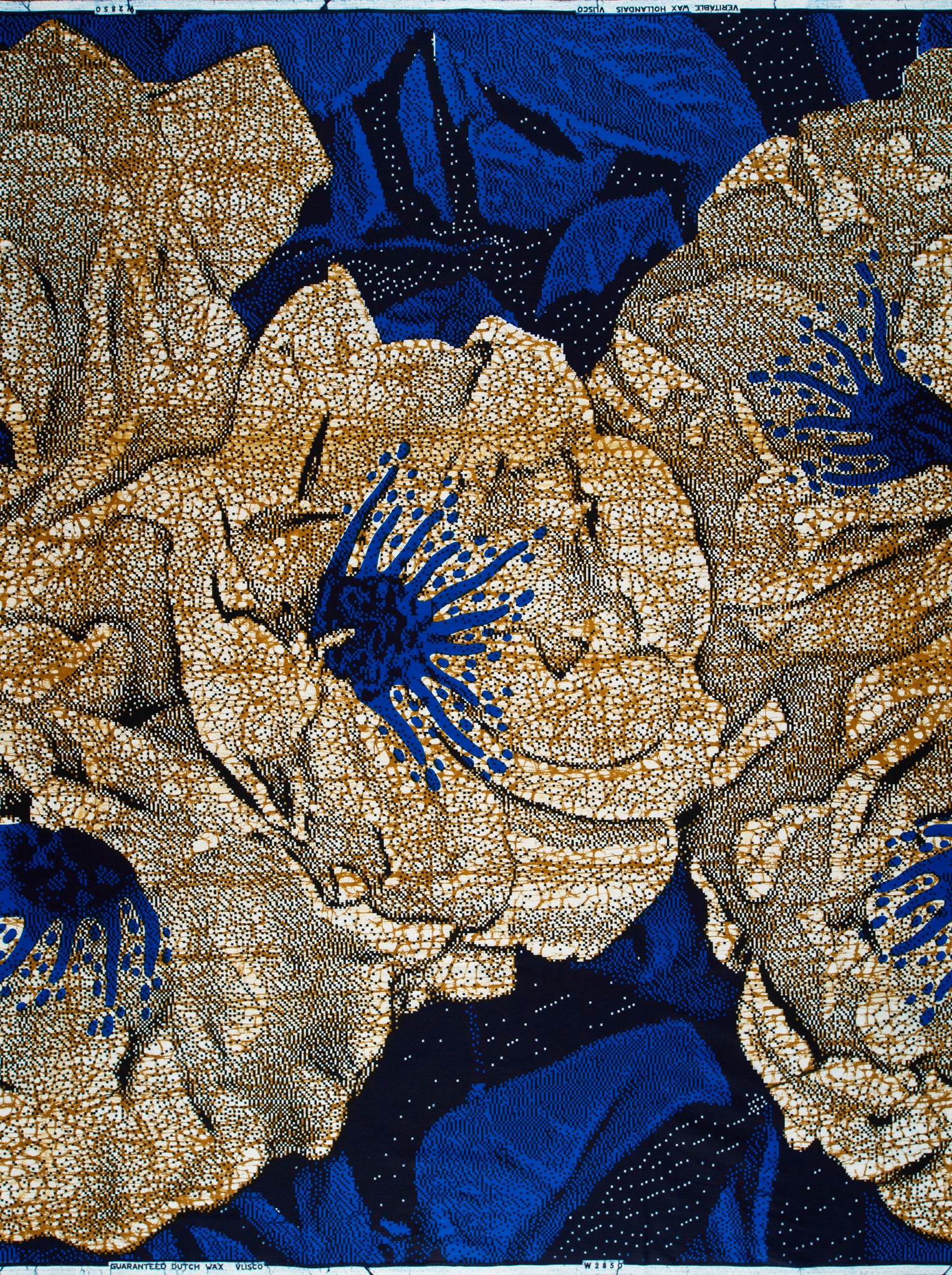 Wax Hollandais | VLW2850.008 - Image 4