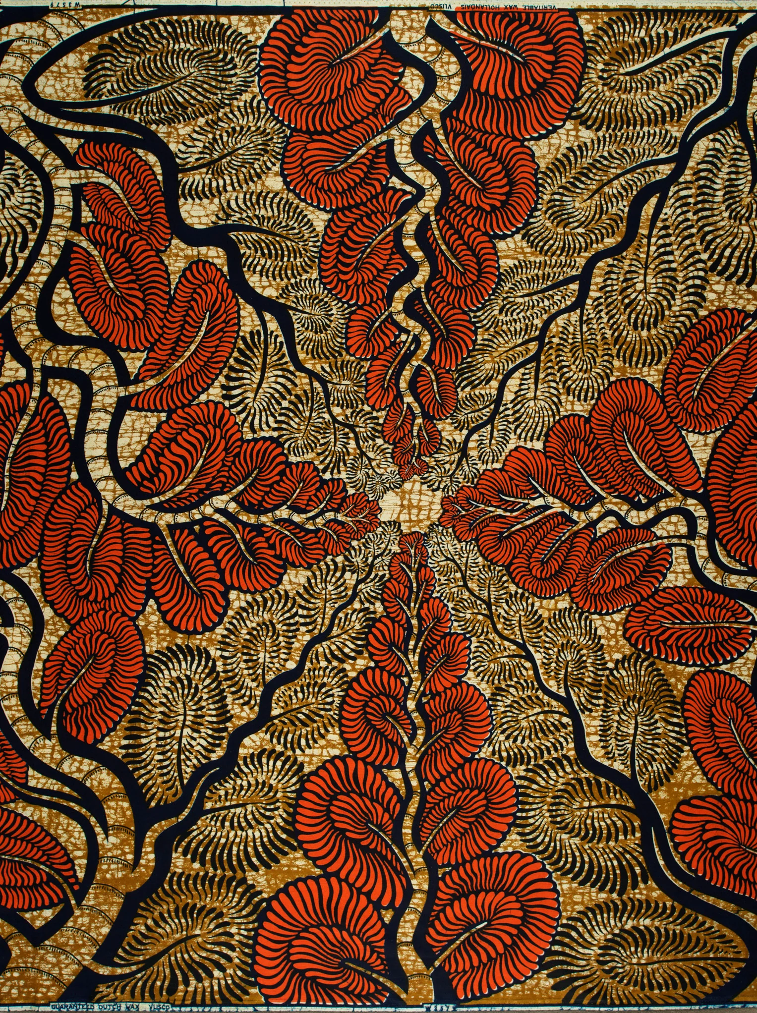Wax Hollandais | VLW3579.007 - Image 4