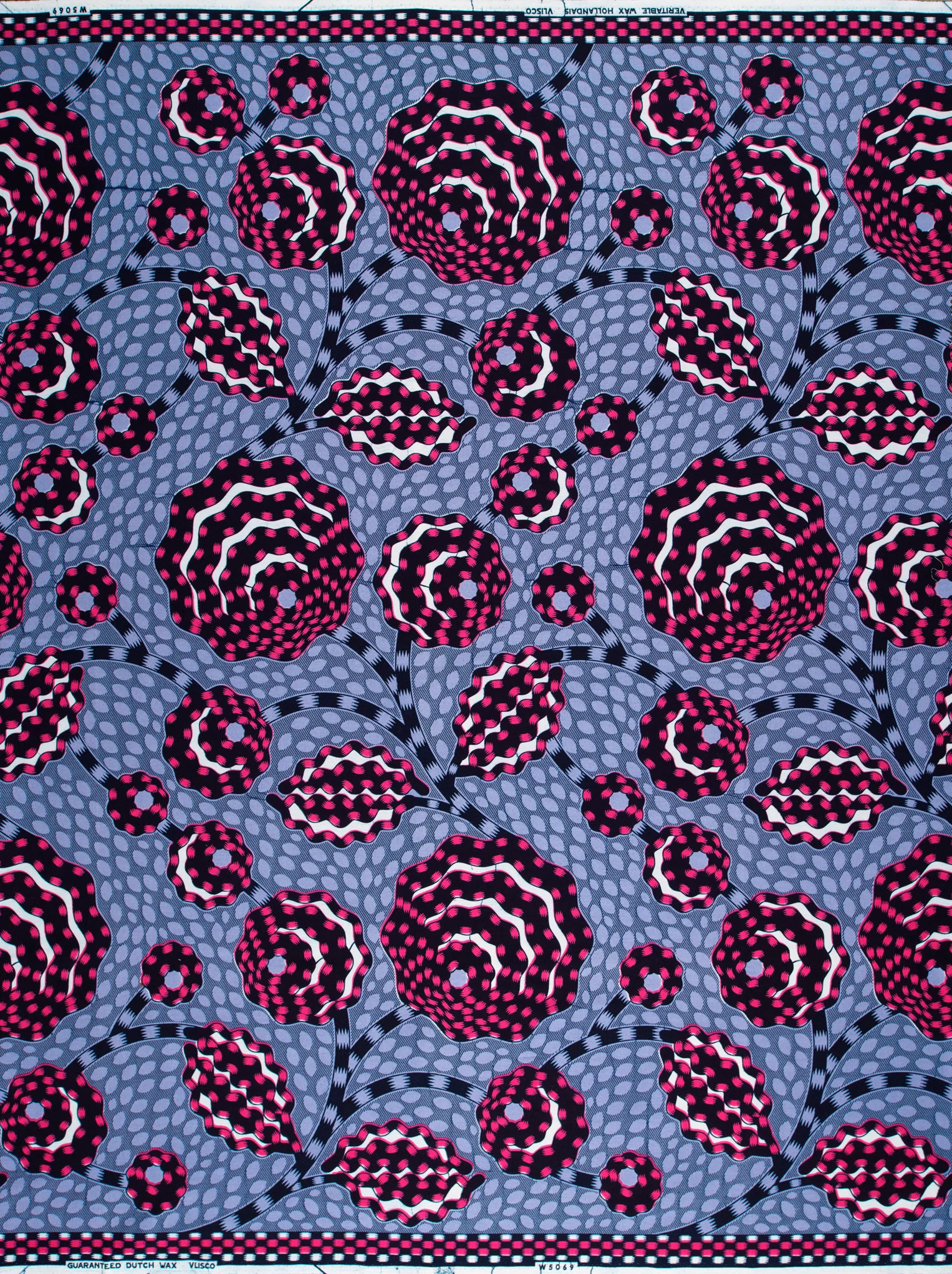 Wax Hollandais | VLW5069.015 | Dynamic flower - Image 4