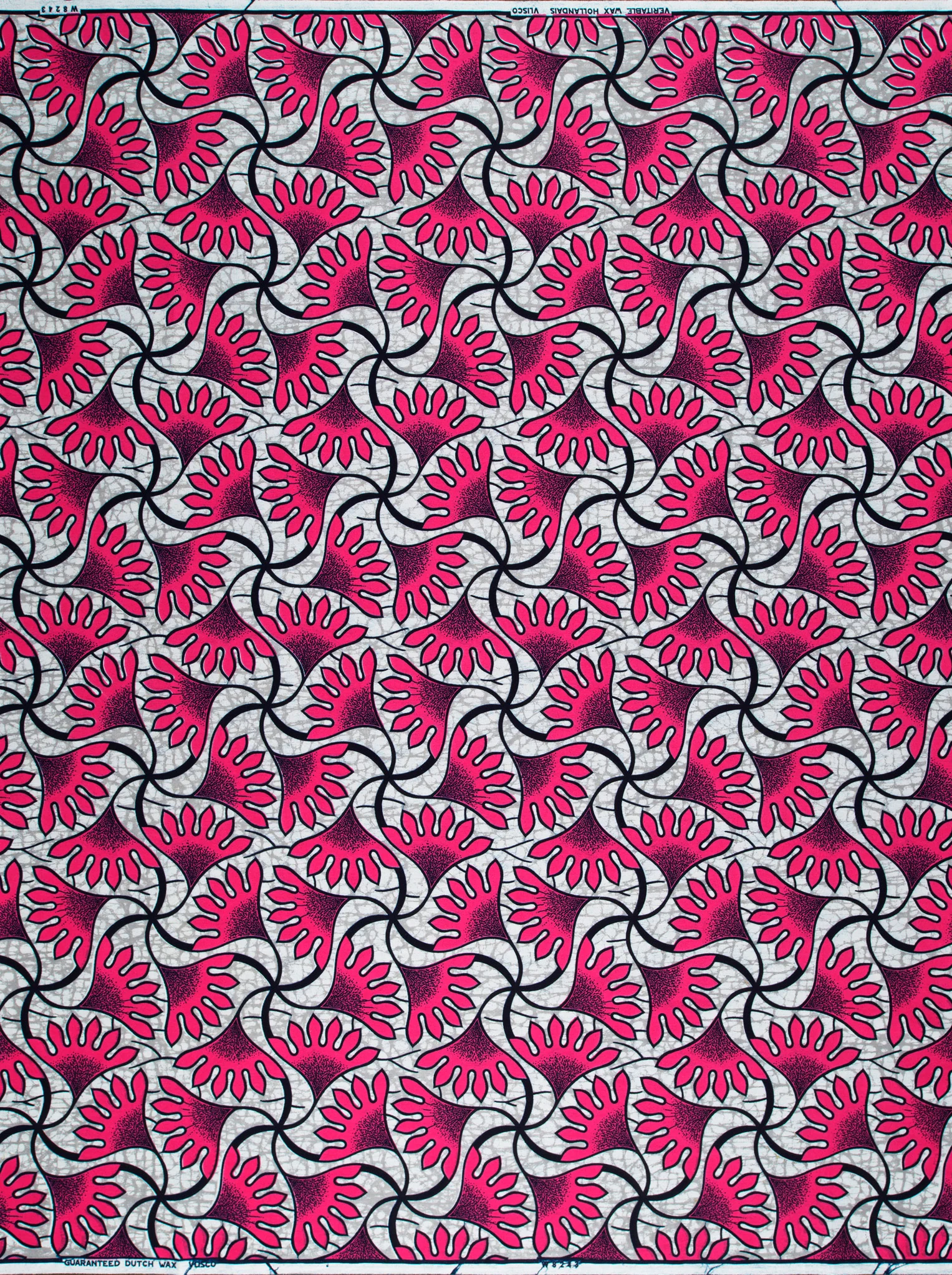 Wax Hollandais | VLW8243.013 - Image 4