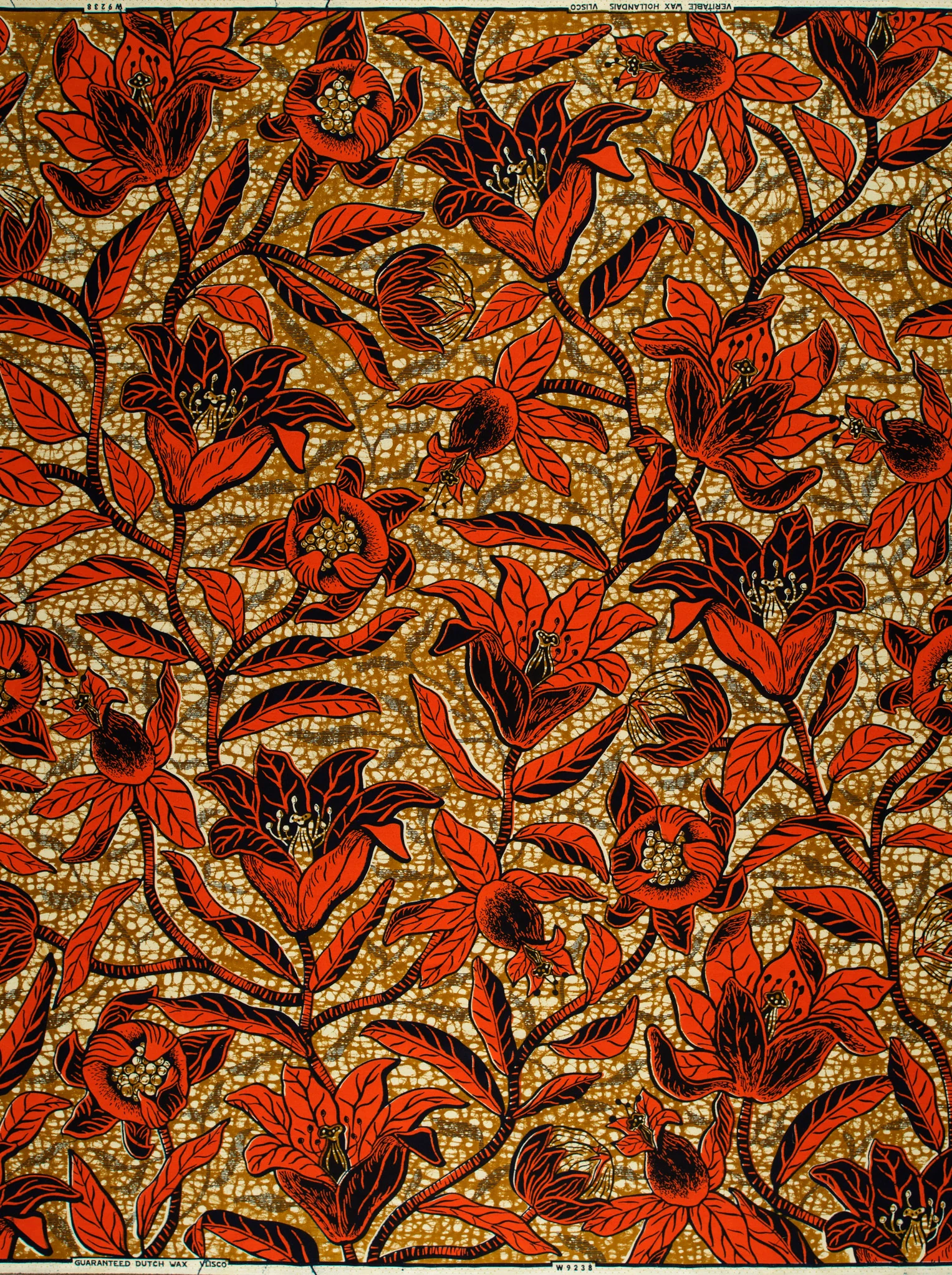 Wax Hollandais | VLW9238.008 - Image 4